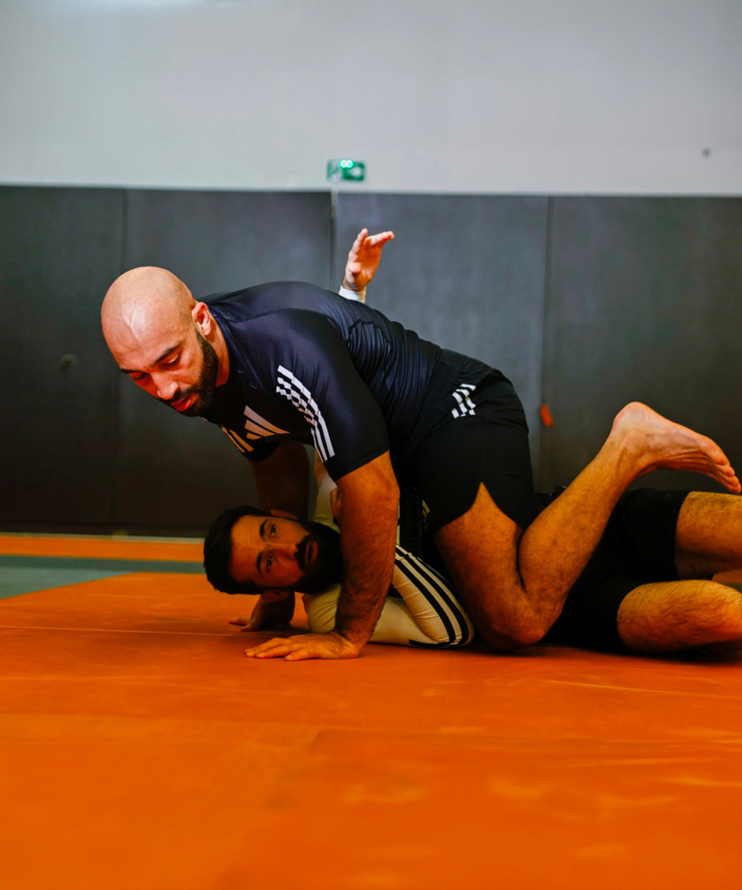 Adidas Grappling IBJJF Fight Shorts - Black