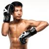 Gants de Boxe 8 Weapons Big 8 - Noir