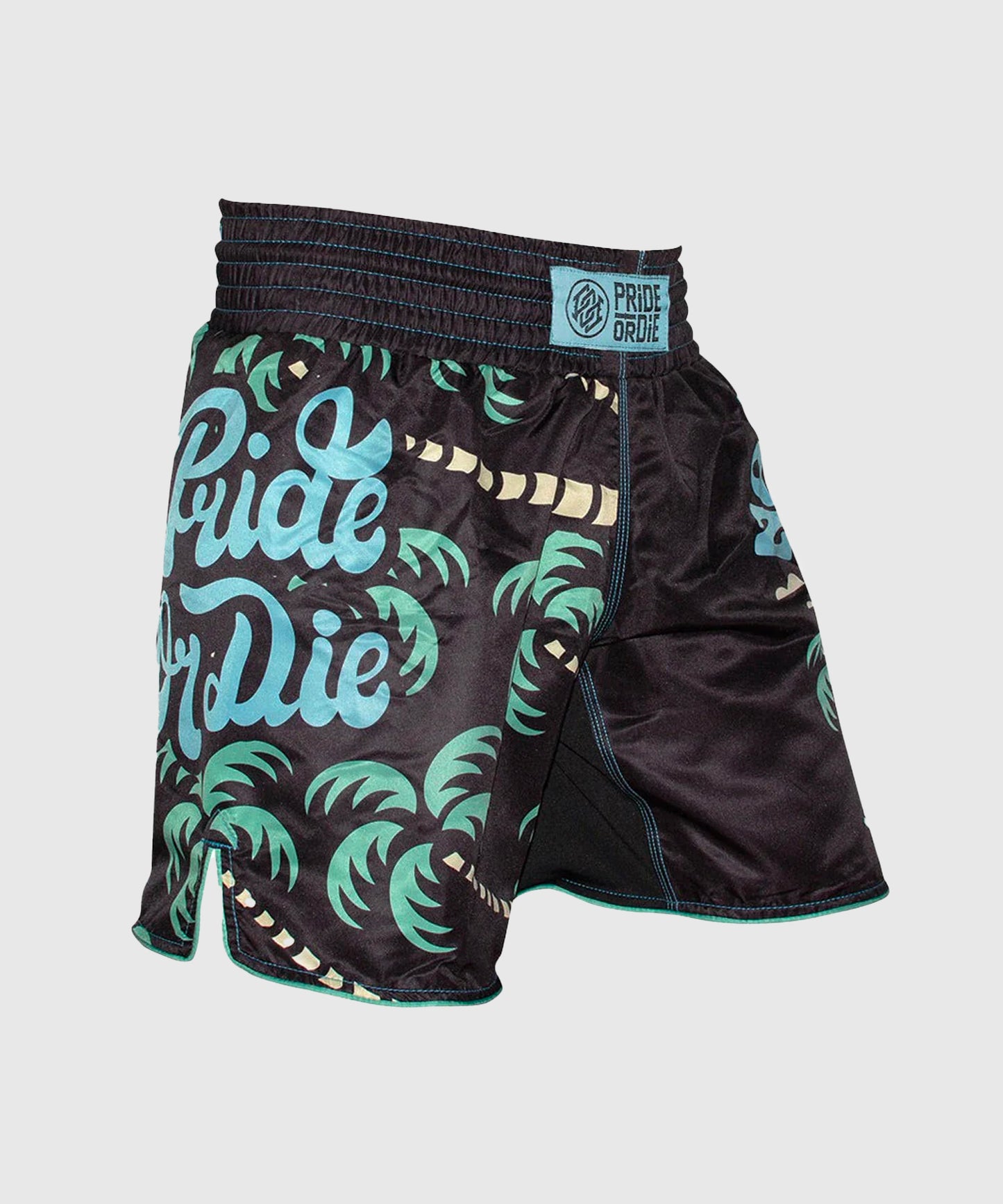 Short de MMA Pride Or Die No Training