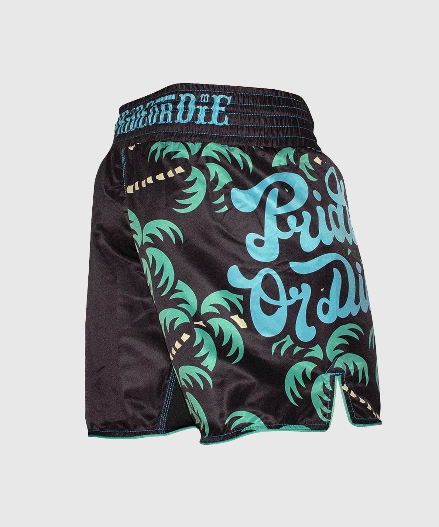 Short de MMA Pride Or Die No Training