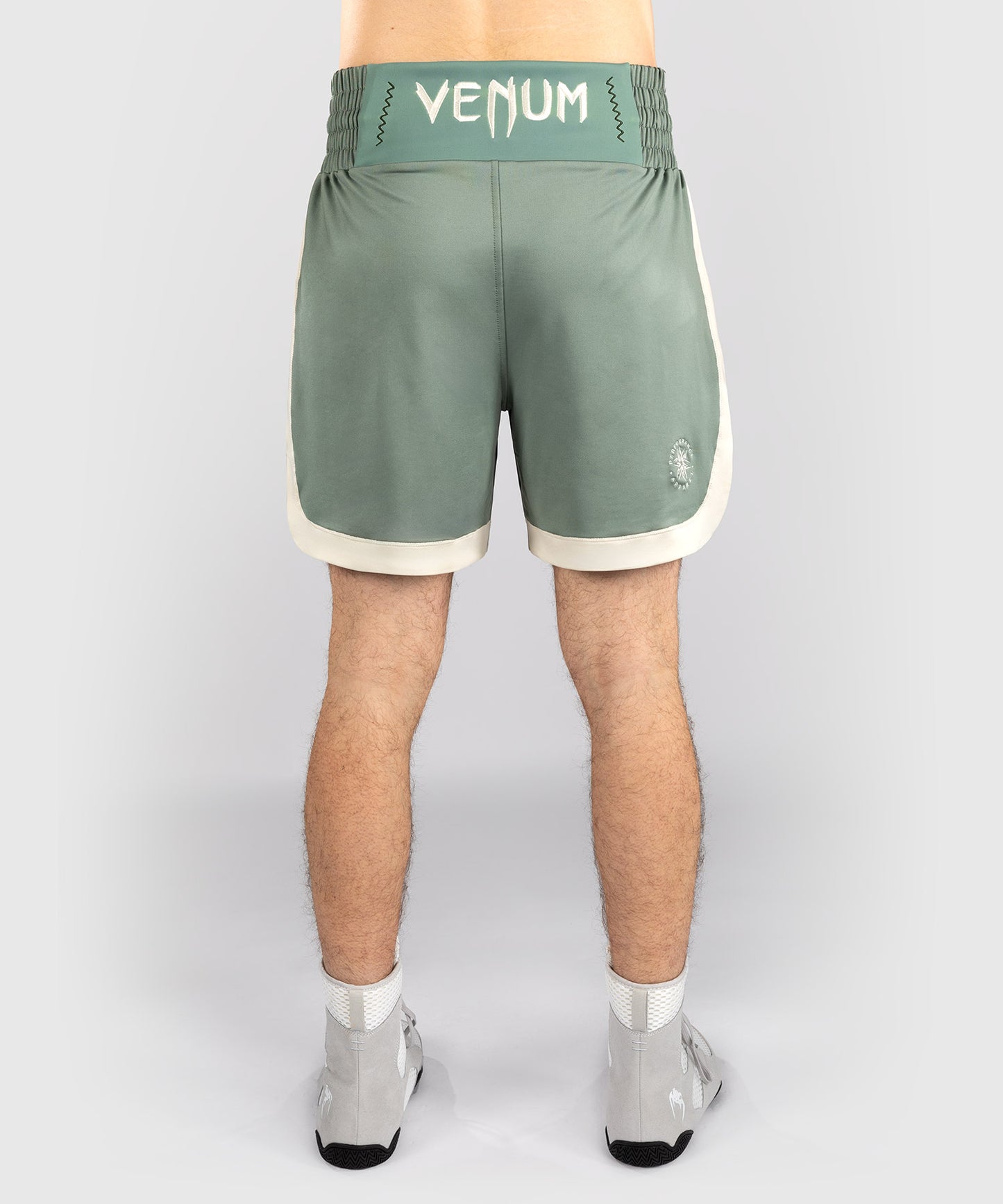 Venum Classic Boxing Shorts - Aqua Green/Ivory