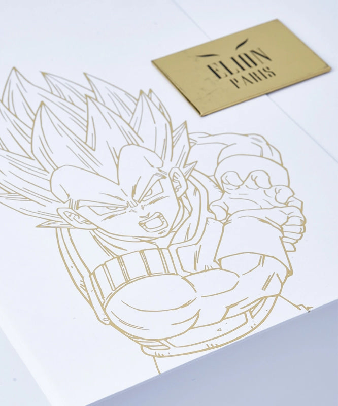 Elion X Dragon Ball Z Limitierte Edition Boxhandschuhe - Vegeta