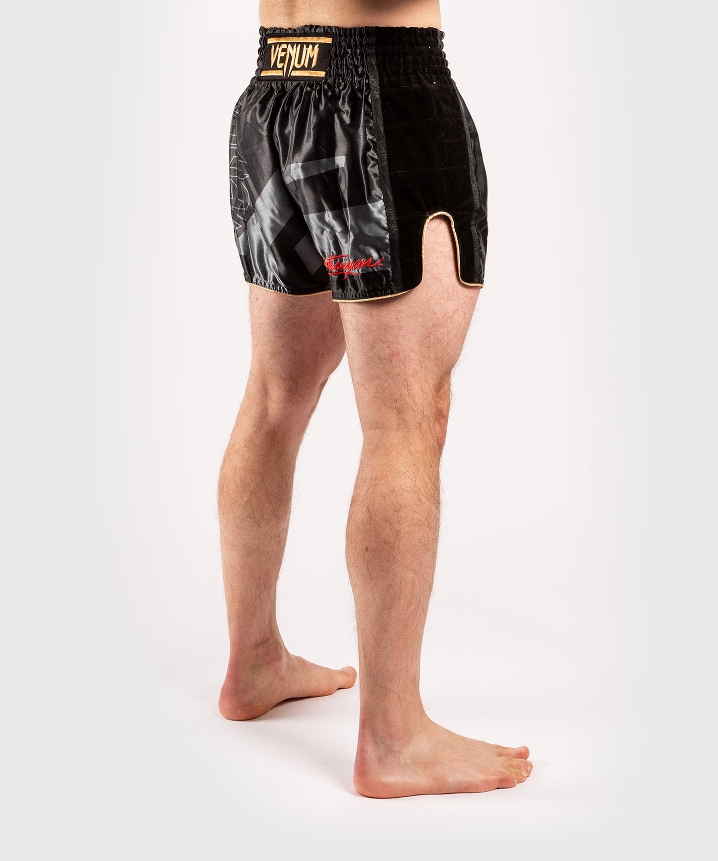 Short de Muay Thai Venum Petrosyan 2.0 - Noir/Or