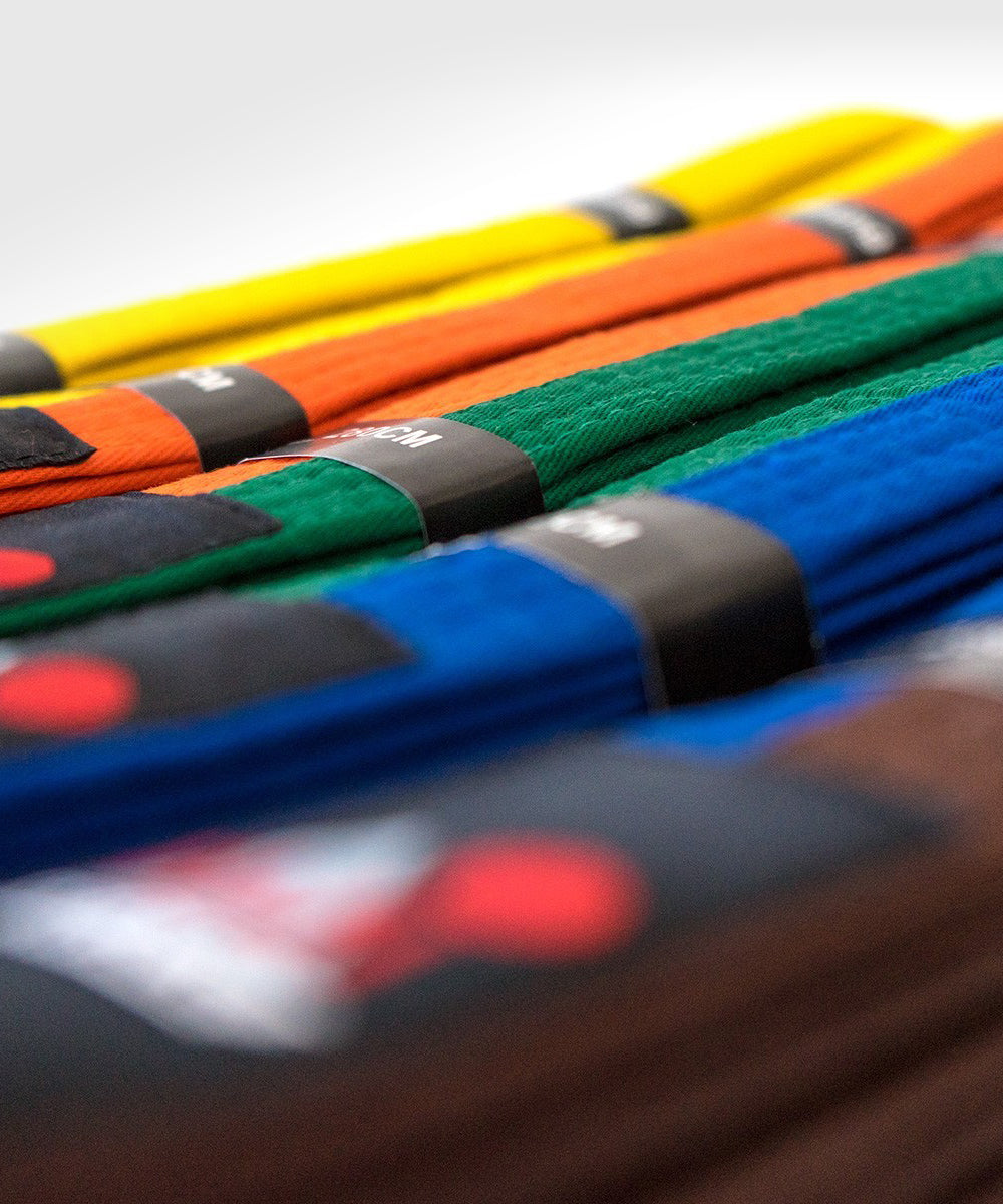 Ceinture d'arts martiaux bicolore Fujimae