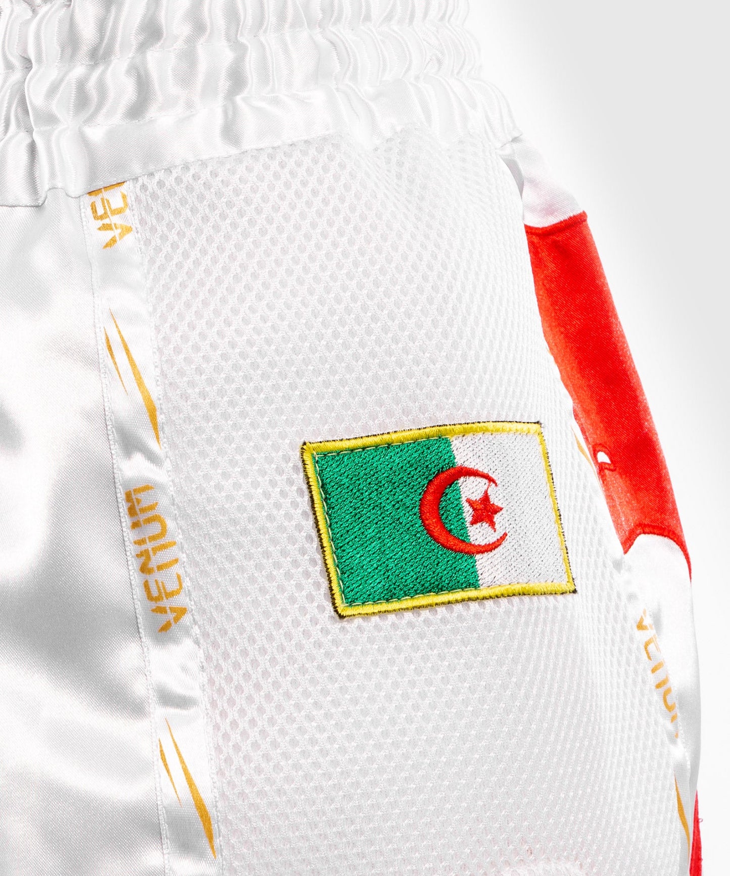 Venum MT Flags Muay Thai shorts - Algeria