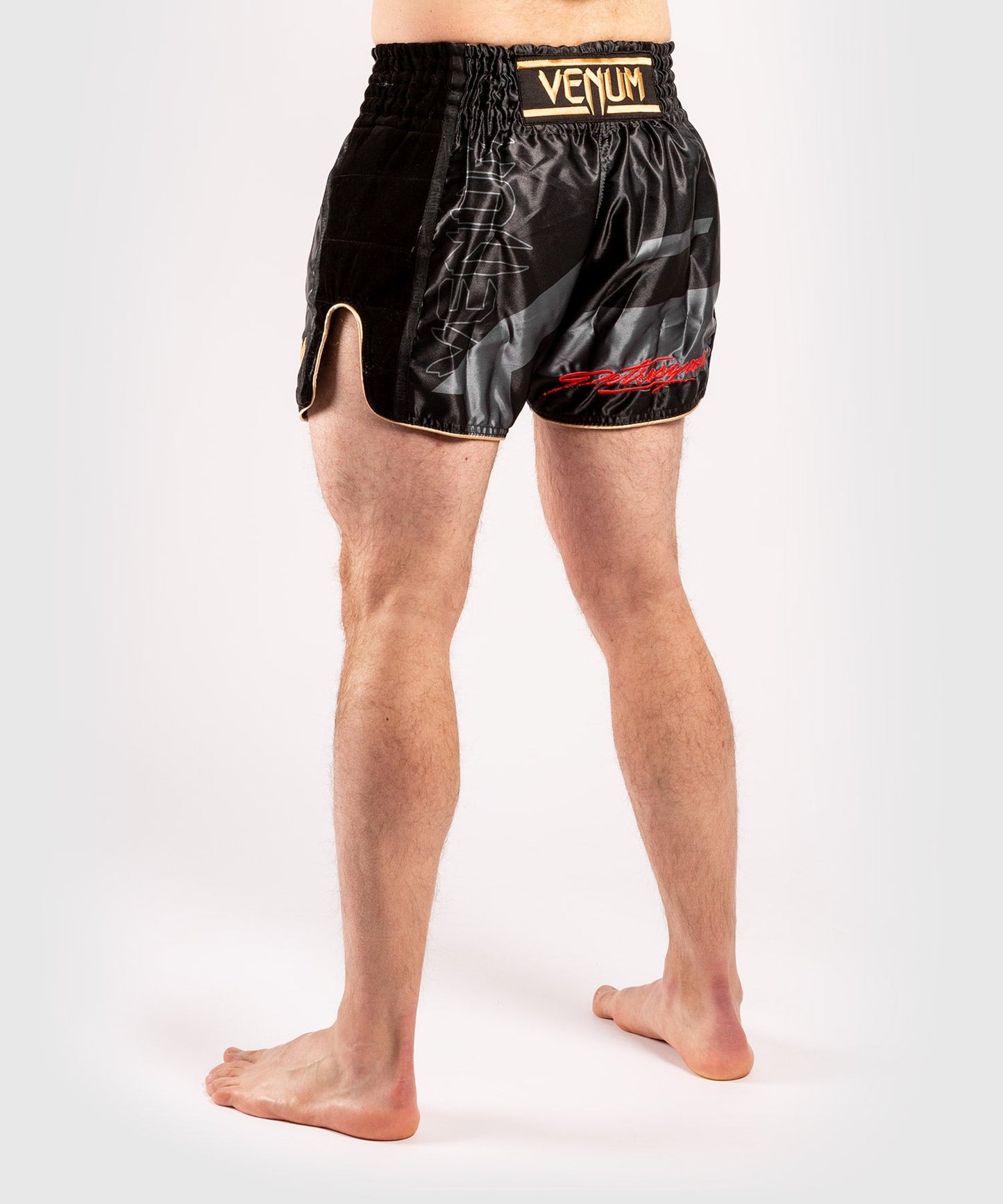 Short de Muay Thai Venum Petrosyan 2.0 - Noir/Or