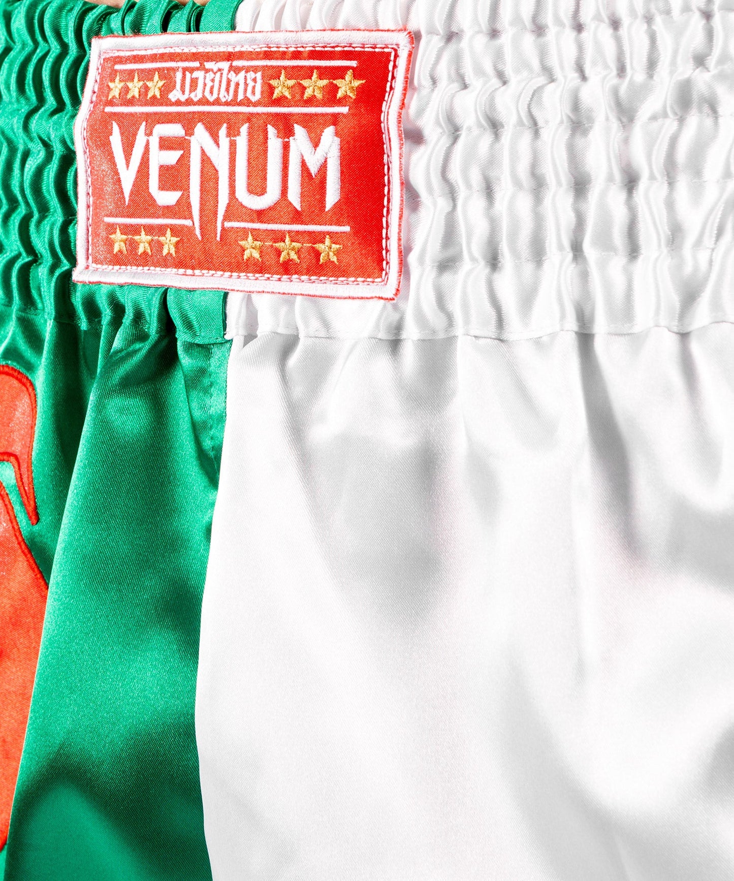 Venum MT Flags Muay Thai shorts - Algeria