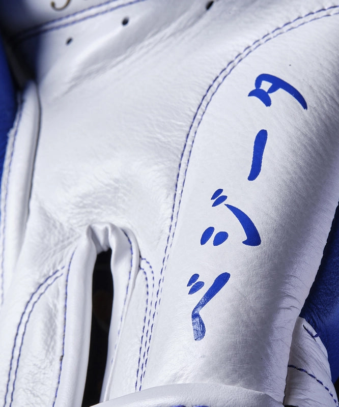 Elion X Dragon Ball Z Limitierte Edition Boxhandschuhe - Vegeta