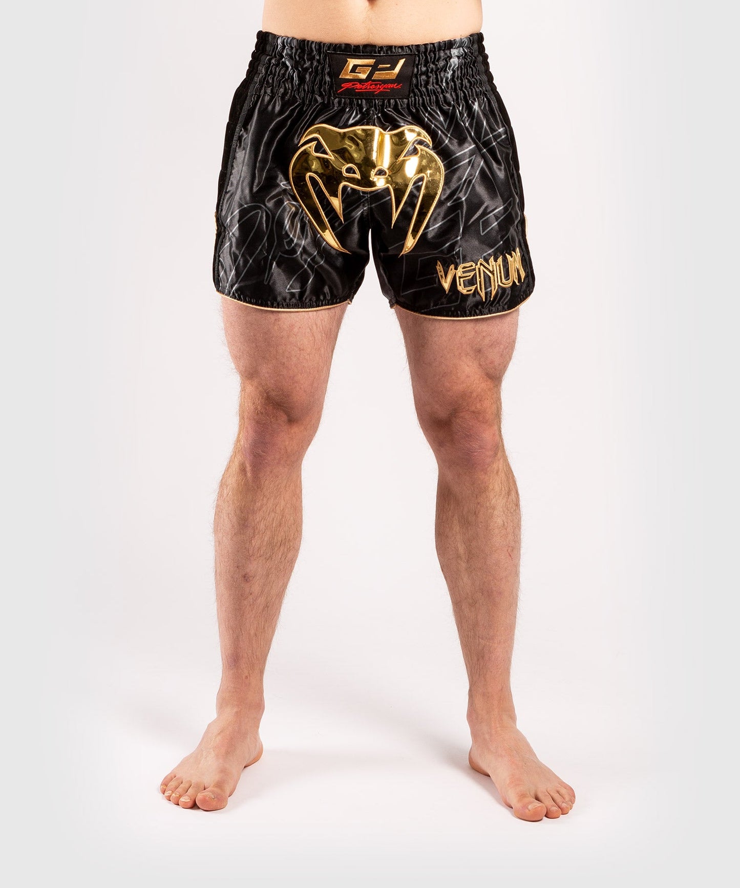 Short de Muay Thai Venum Petrosyan 2.0 - Noir/Or