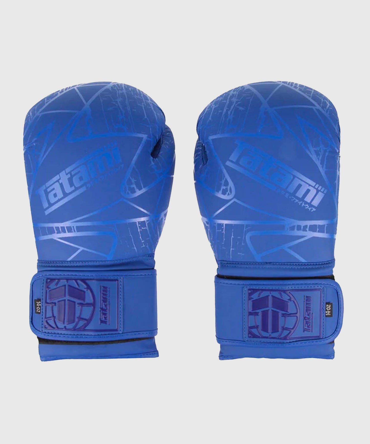 Gants De Boxe Tatami Fightwear Obsidian - Bleu