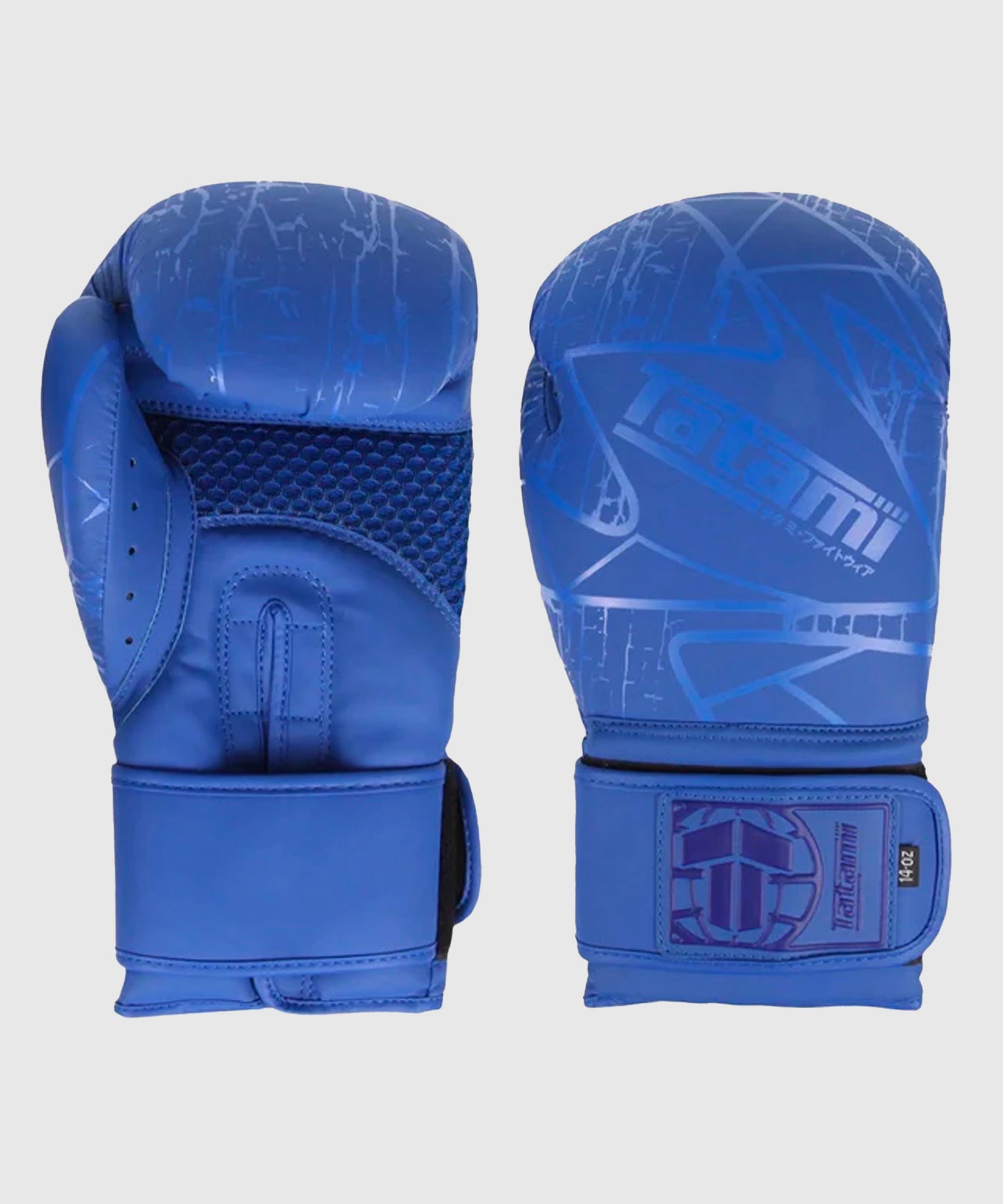 Gants De Boxe Tatami Fightwear Obsidian - Bleu