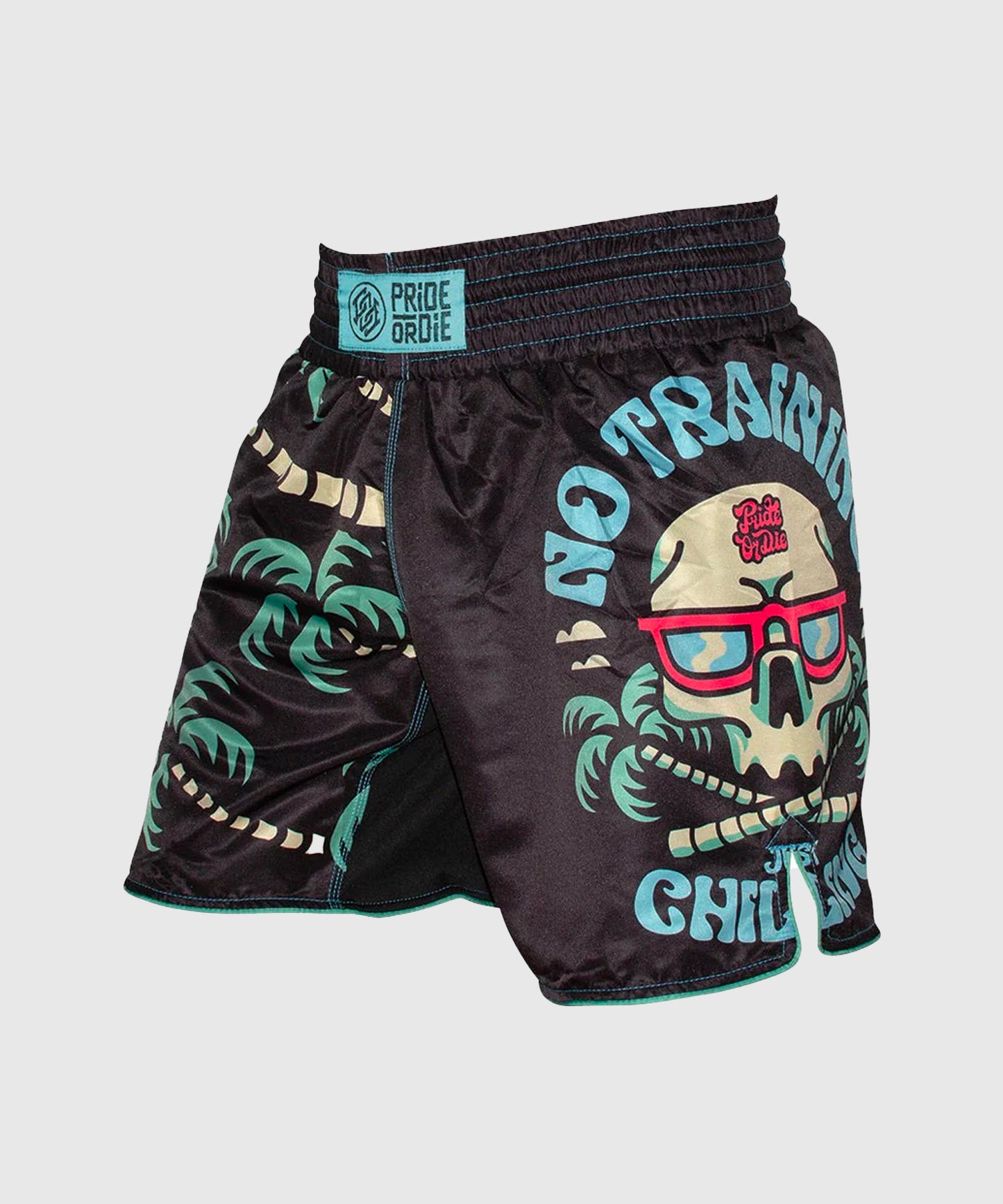 Short de MMA Pride Or Die No Training