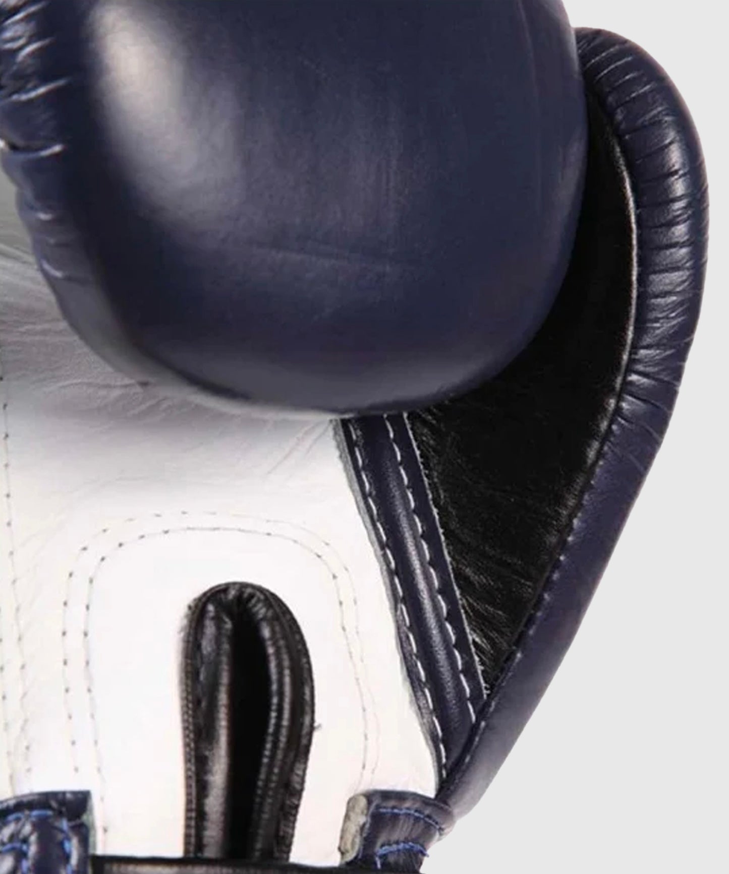 Gants de boxe Fairtex FXV1 - Bleu