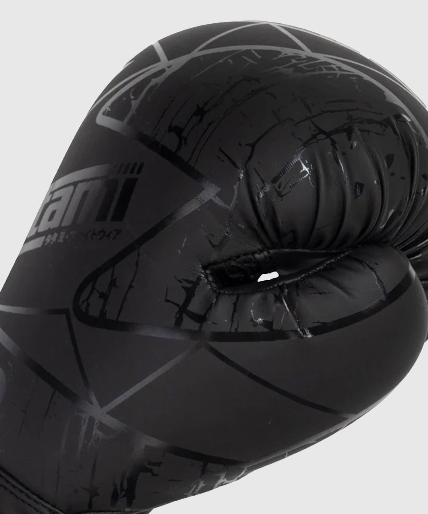 Gants de Boxe Tatami Fightwear Obsidian - Noir