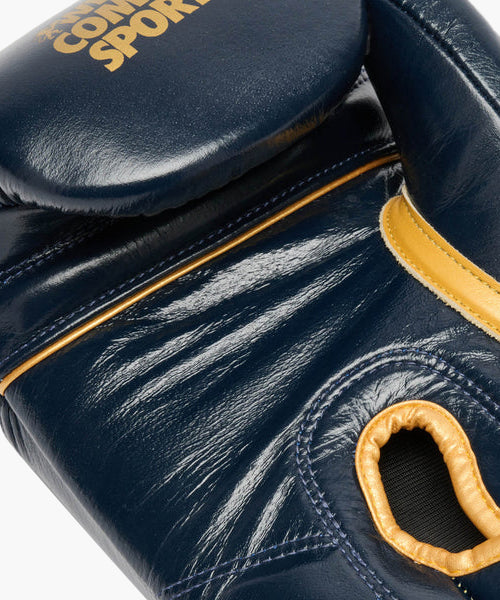 Leone DNA Premium Boxhandschuhe – Blau