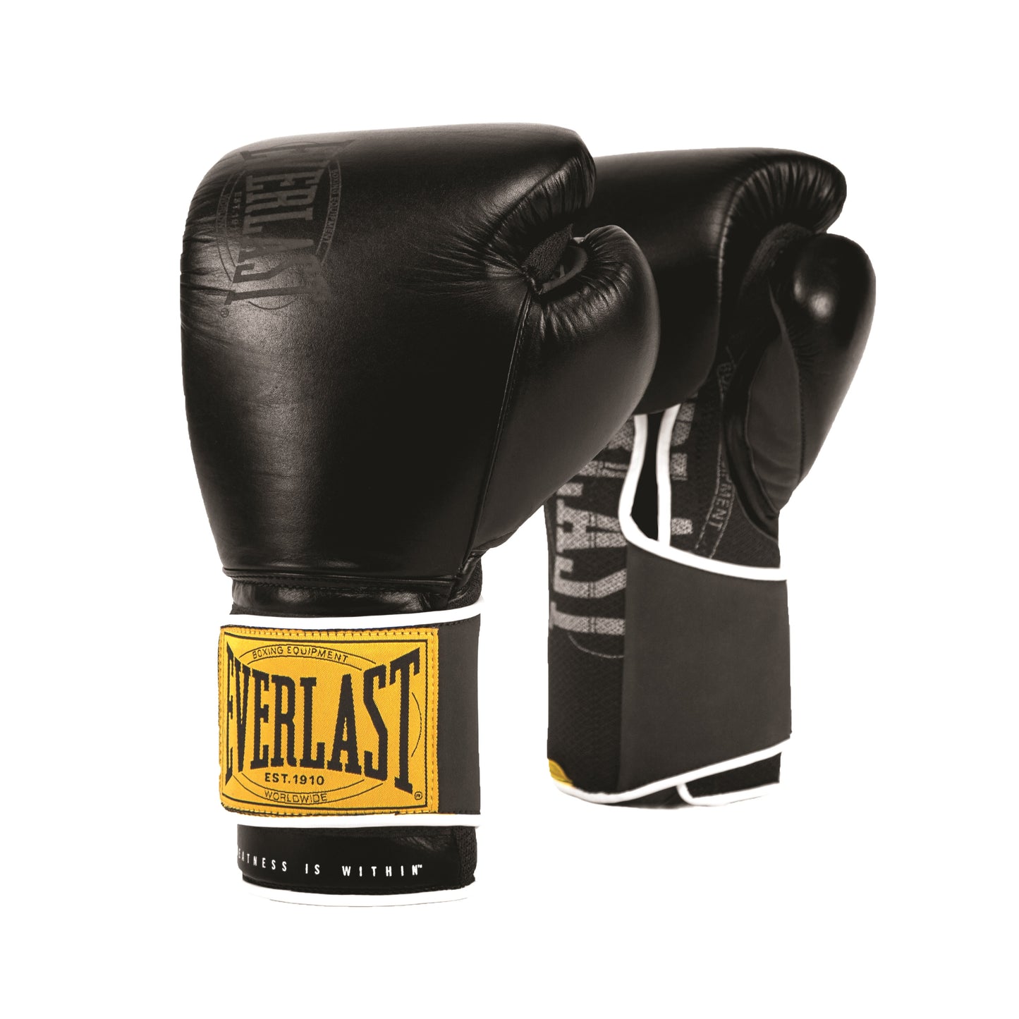 Everlast 1910 Training Boxhandschuhe – Schwarz