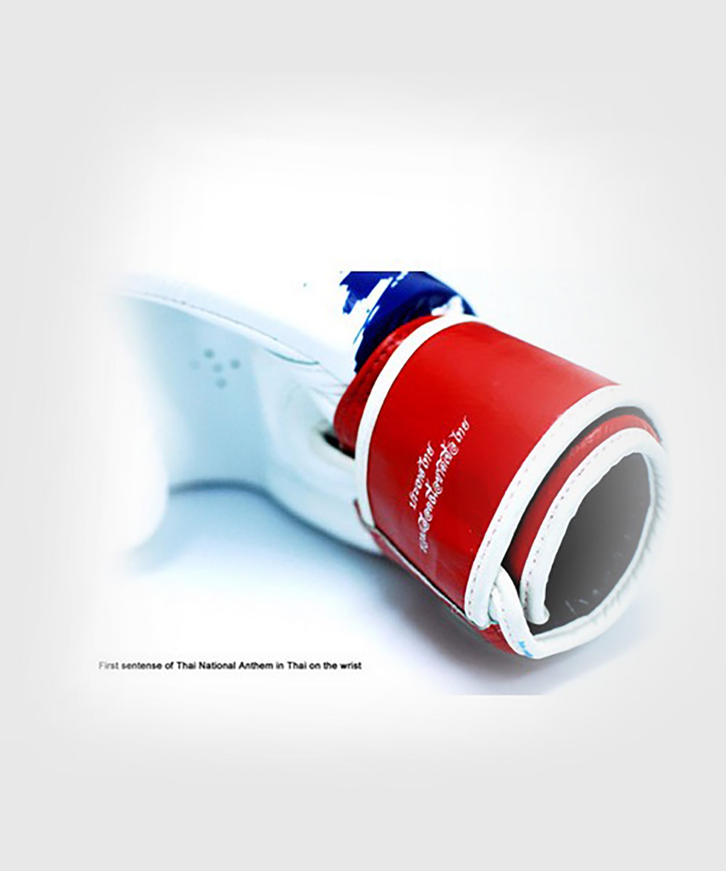 Gants de Boxe Fairtex Thai Pride - Blanc/Bleu/Rouge