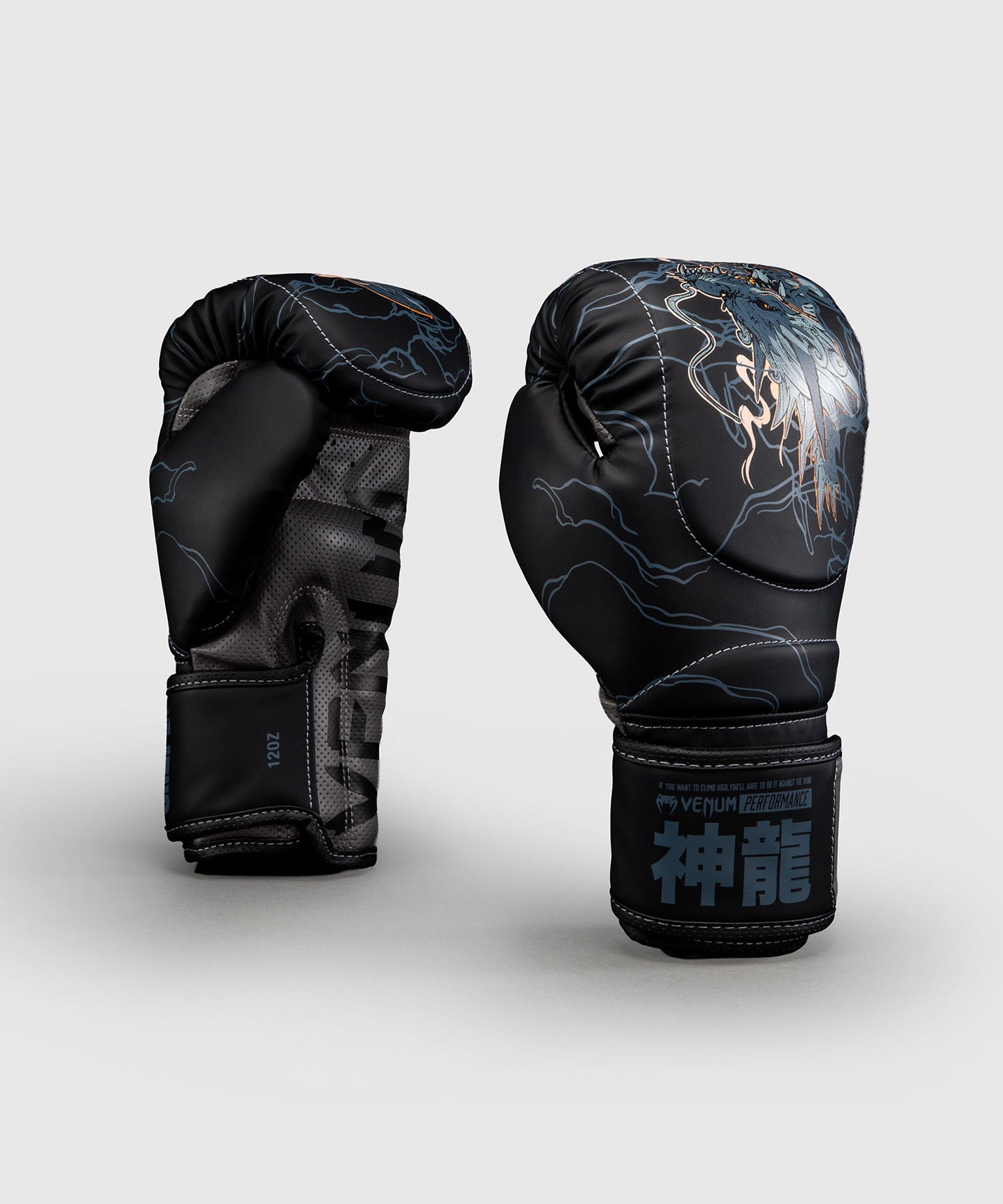 Gants de boxe Venum Thunder Dragon – Noir/Gris/Cuivre