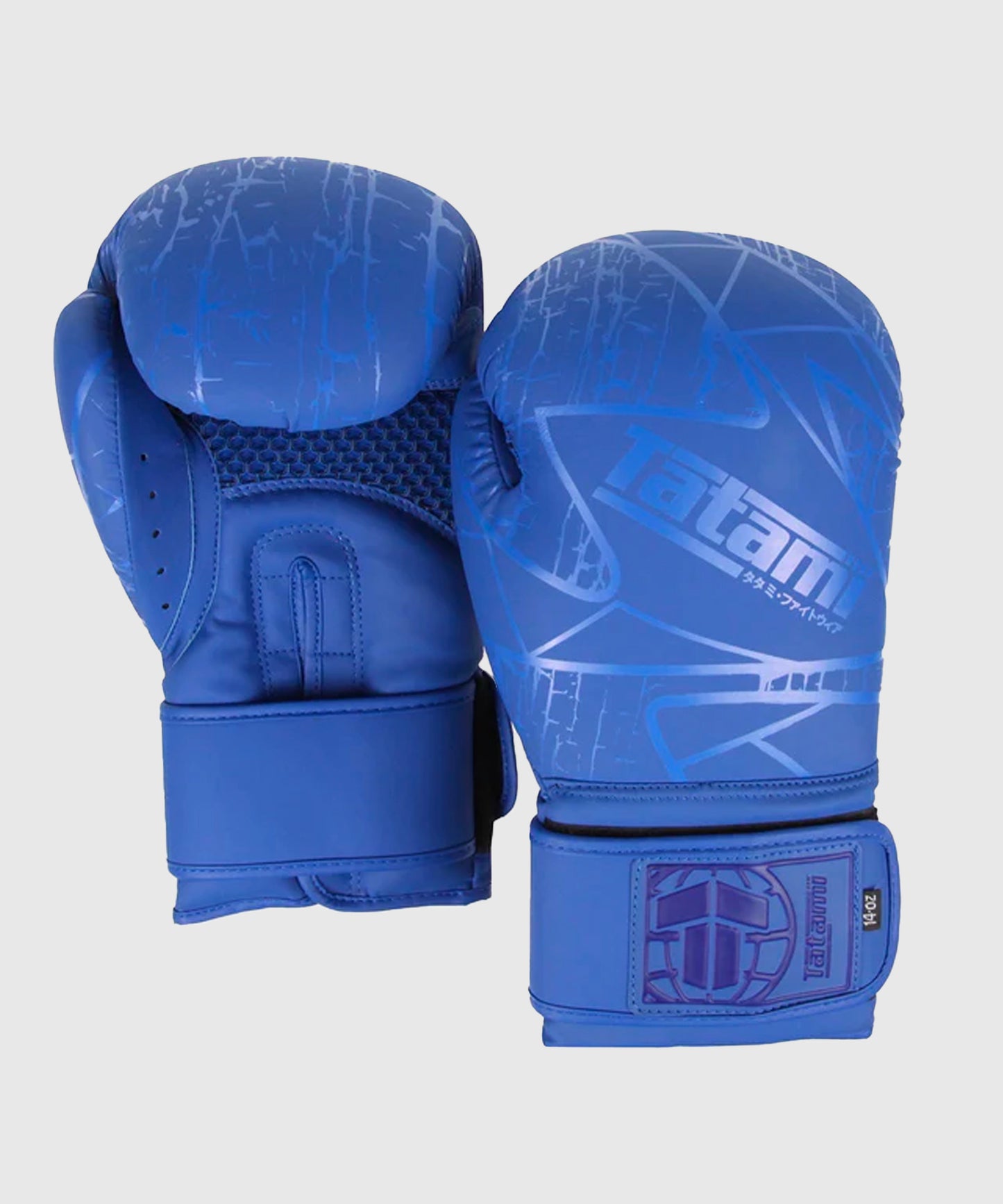 Gants De Boxe Tatami Fightwear Obsidian - Bleu