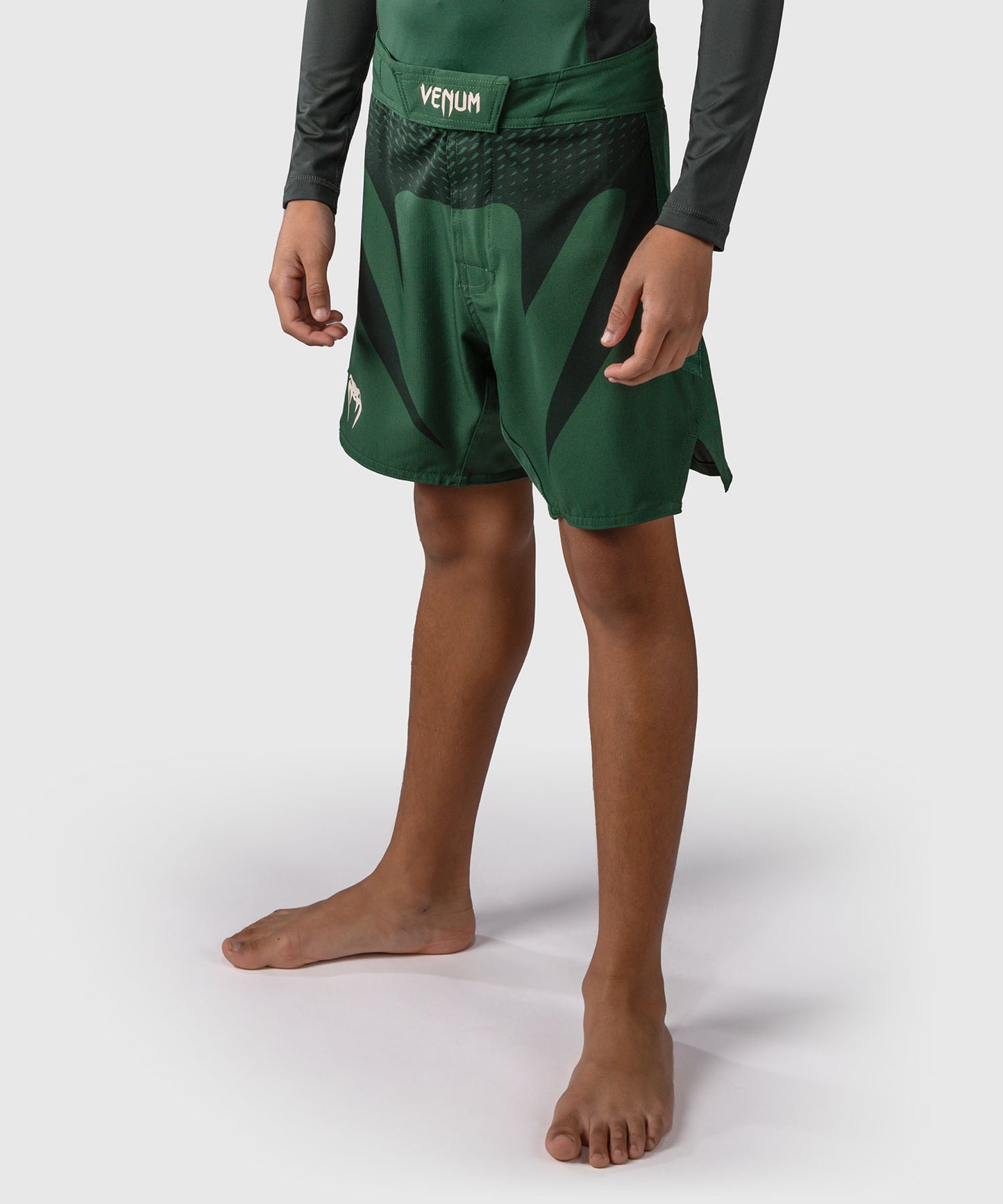 Venum Attack Fightshorts Niños - Verde Bosque/ Blanco Roto