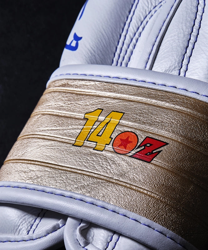 Elion X Dragon Ball Z Limitierte Edition Boxhandschuhe - Vegeta