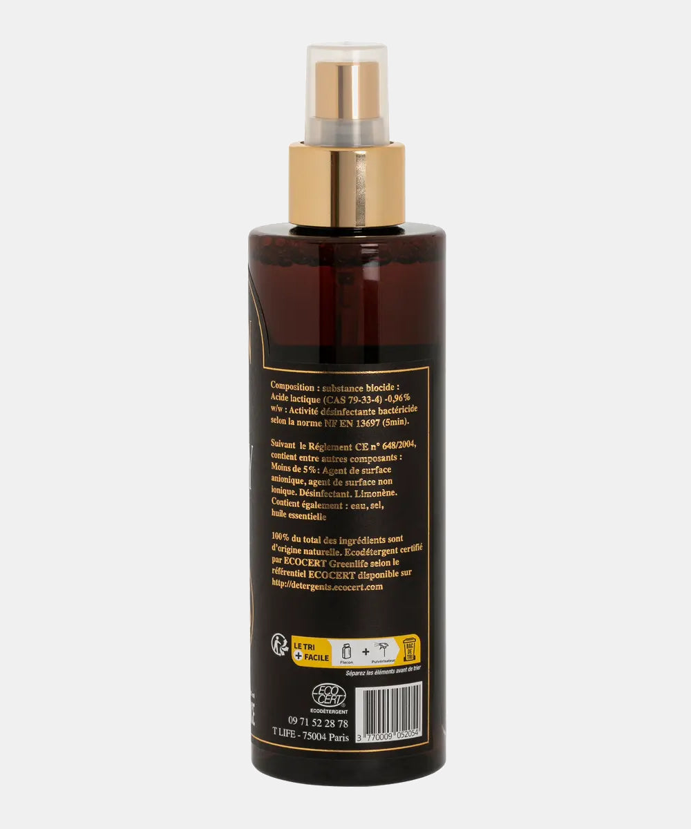 Clean Hugs X ELION Paris Desinfektionsspray - Schwarz
