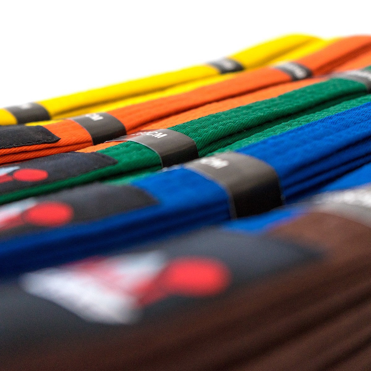 Ceinture d'arts martiaux bicolore Fujimae
