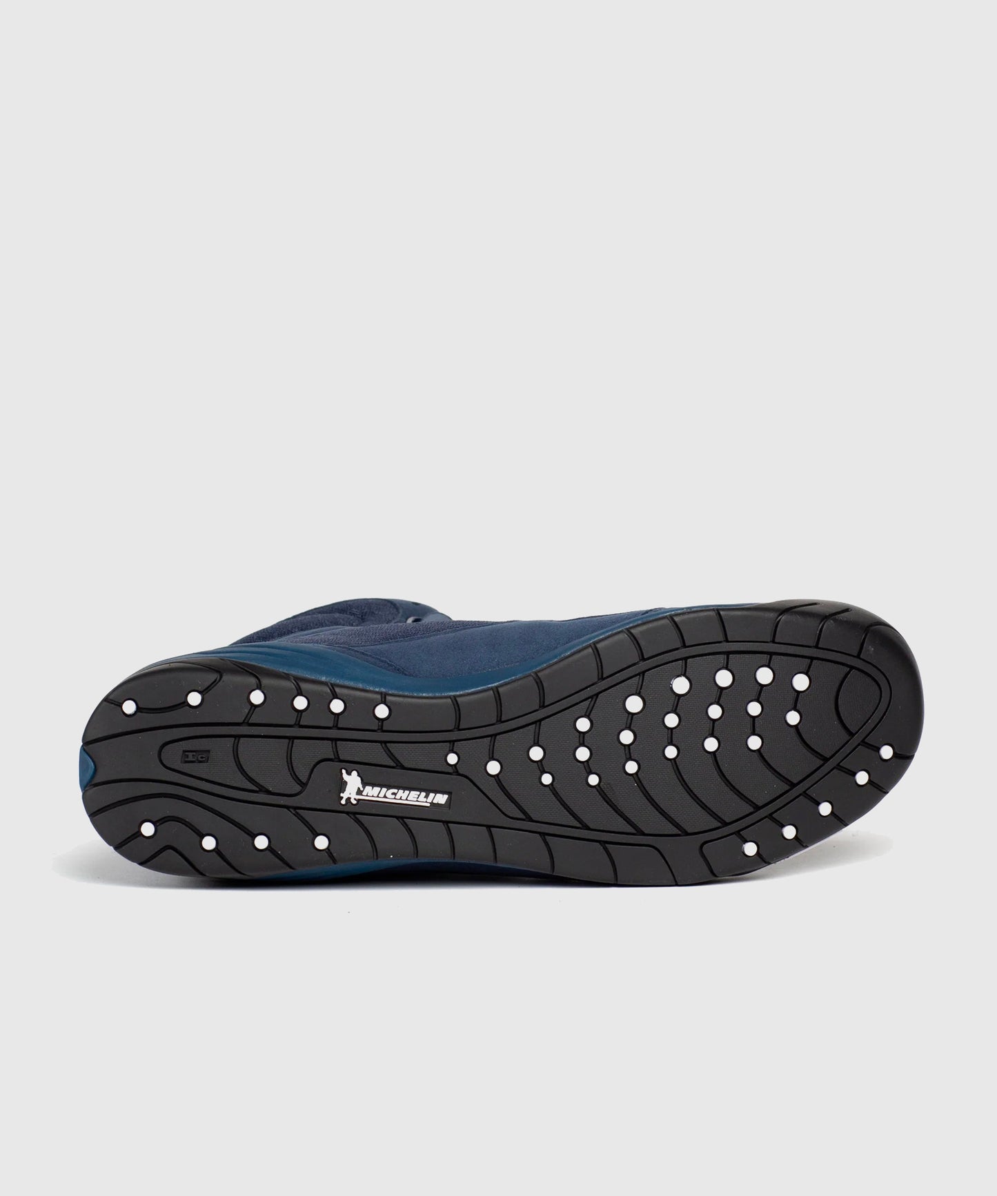 Chaussures de Boxe Everlast Elite 2 - Bleu