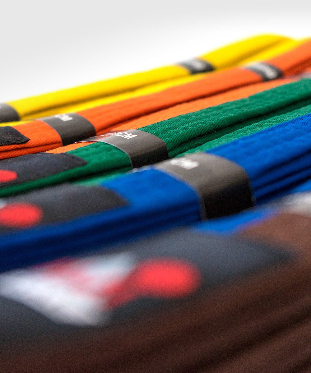 Ceinture d'arts martiaux bicolore Fujimae