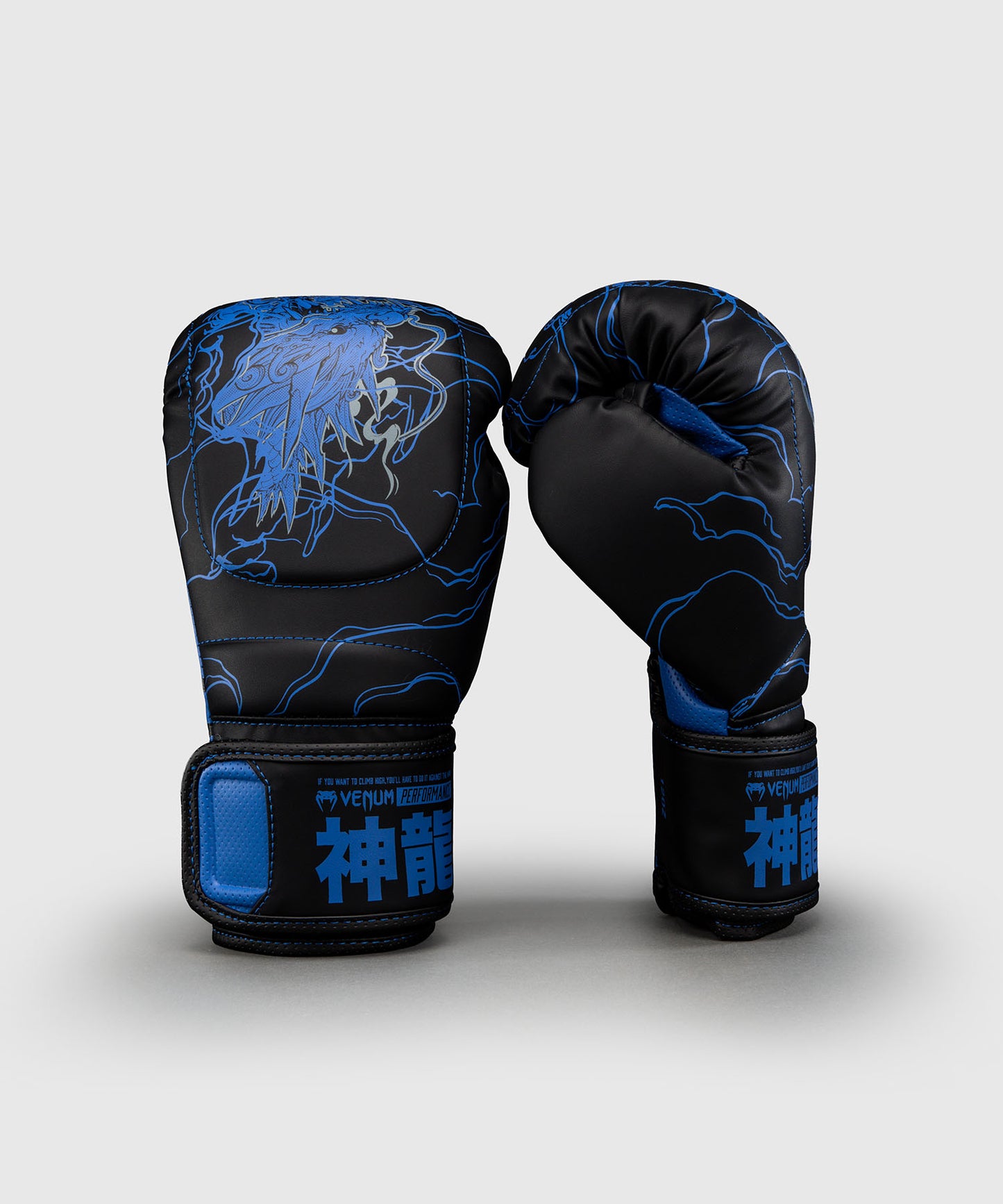 Venum Thunder Dragon Guantes de Boxeo – Negro/Azul Real