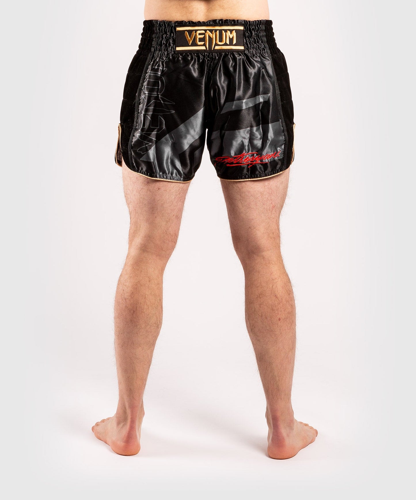 Short de Muay Thai Venum Petrosyan 2.0 - Noir/Or