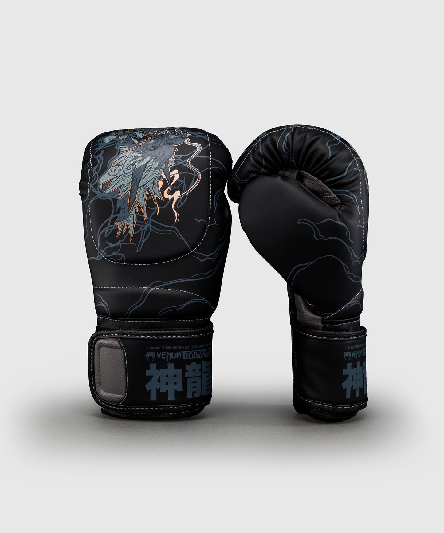 Gants de boxe Venum Thunder Dragon – Noir/Gris/Cuivre