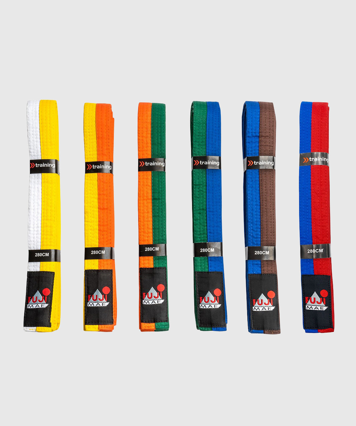 Ceinture d'arts martiaux bicolore Fujimae