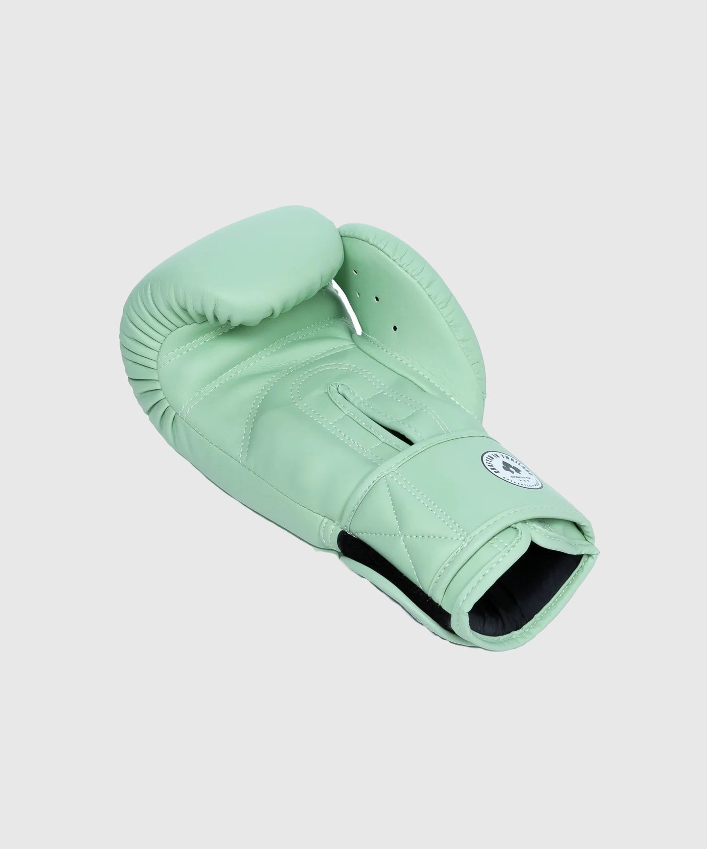 Infightstyle Pro Compact Boxing Gloves - Pale Green