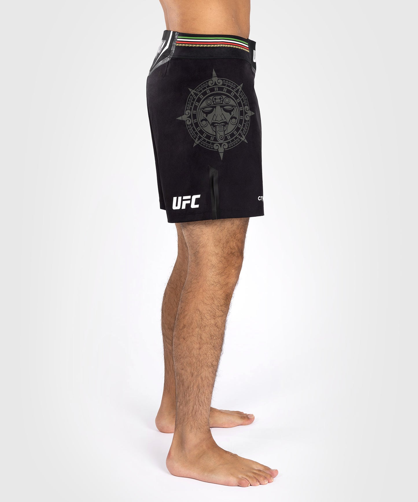 Noche UFC by Venum Authentic Fight Night Short de Combat pour homme - Coupe Courte - Noir