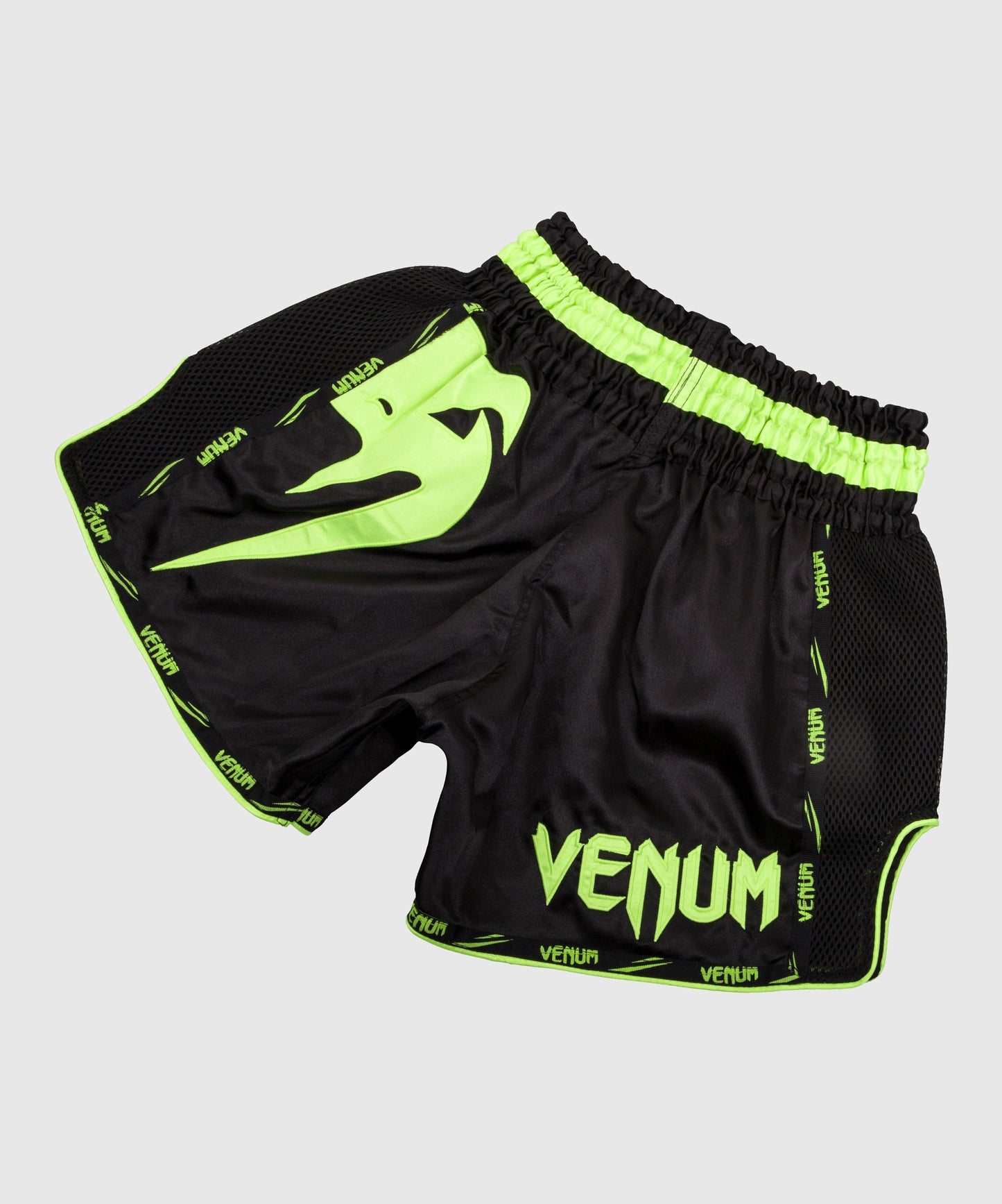 Venum Giant Muay Thai shorts