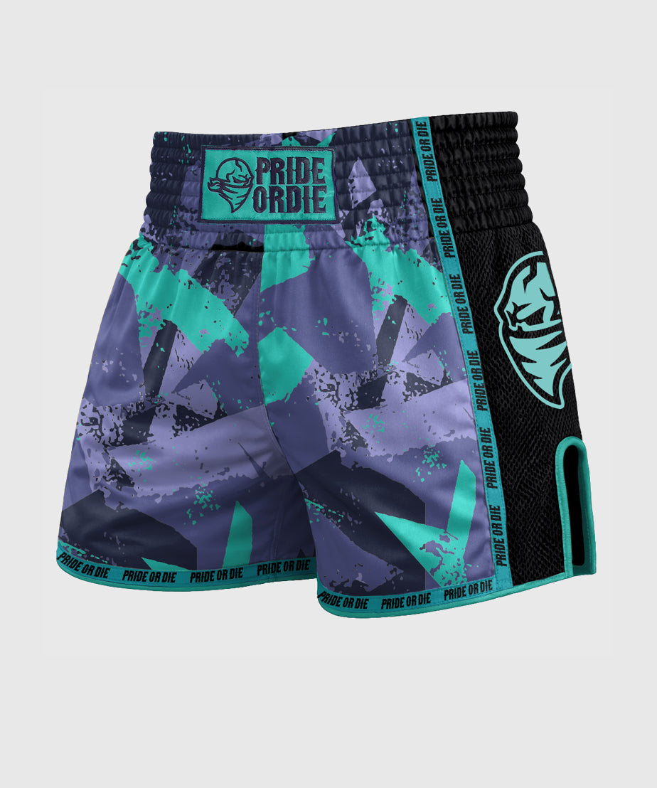 Pride Or Die Reckless 2.0 Muay Thai Shorts - Black