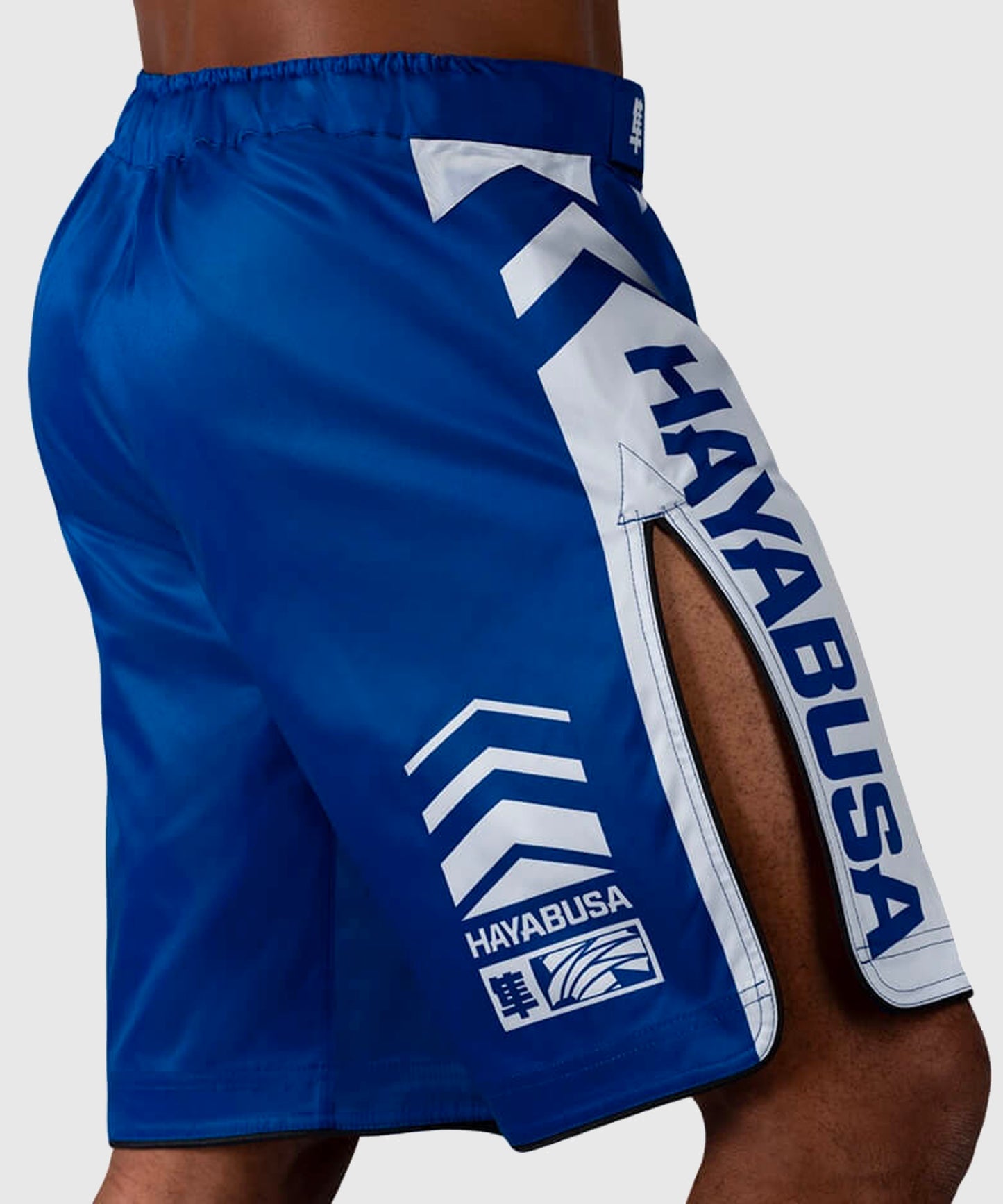 Hayabusa Icon Fightshorts - Azul