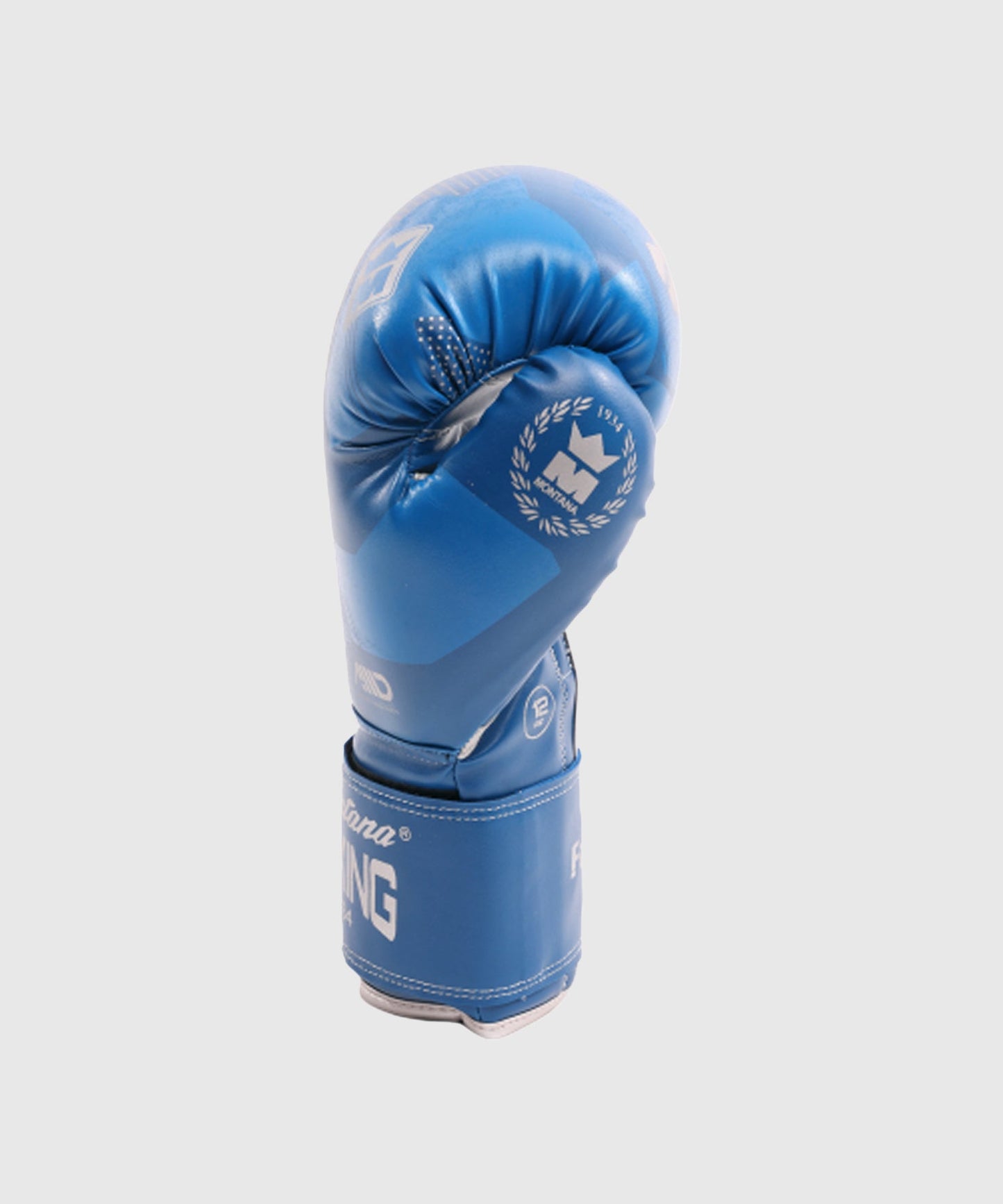 Montana Falcon Kids Initiation Gloves - Blue