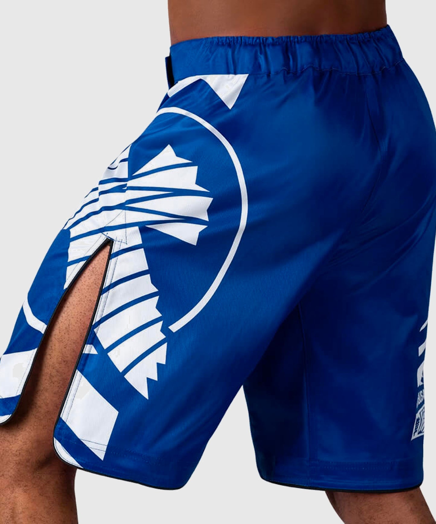 Hayabusa Icon Fightshorts - Azul
