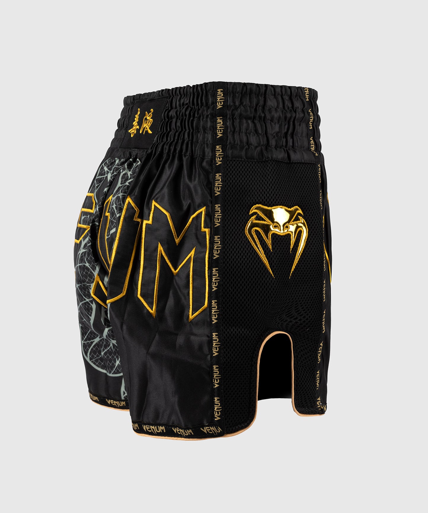 Short de Muay Thai Venum Serpenti – Noir/Argent/Or