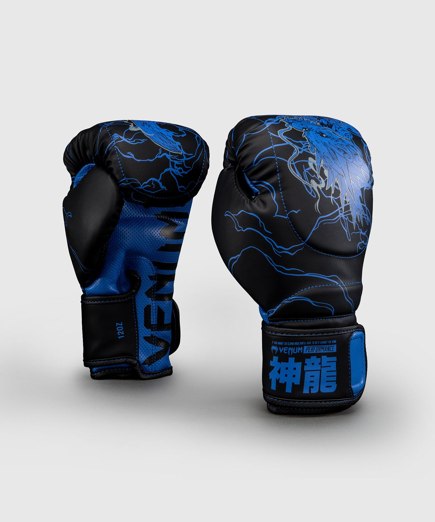 Venum Thunder Dragon Guantes de Boxeo – Negro/Azul Real