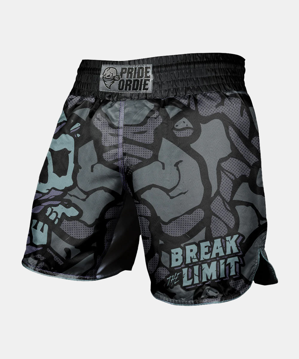 Pride Or Die Break The Limit Fightshorts - Schwarz