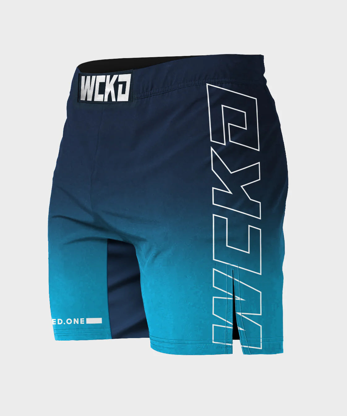 Wicked One Court Raw Fightshorts - Azul