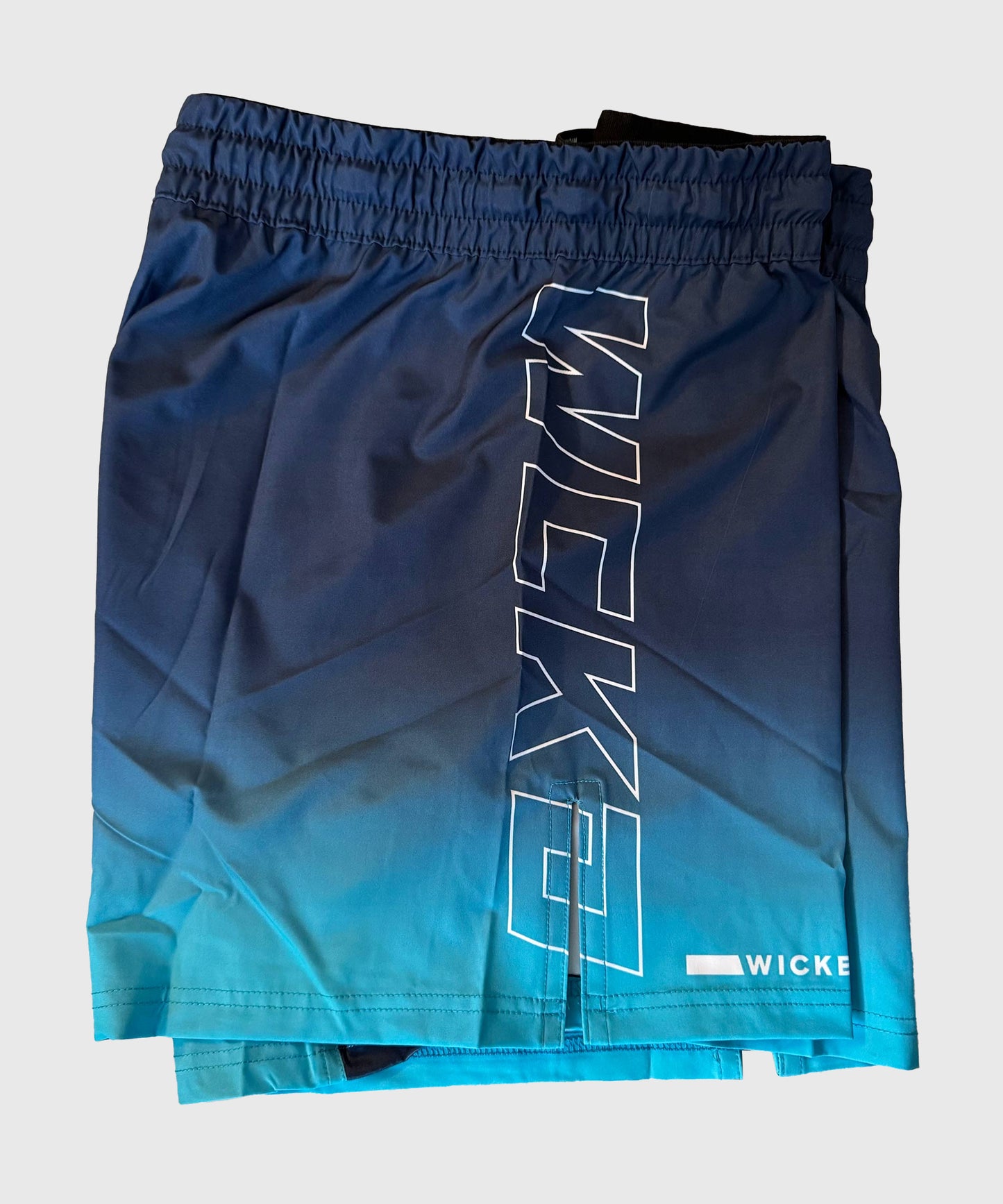 Wicked One Court Raw Fightshorts - Azul