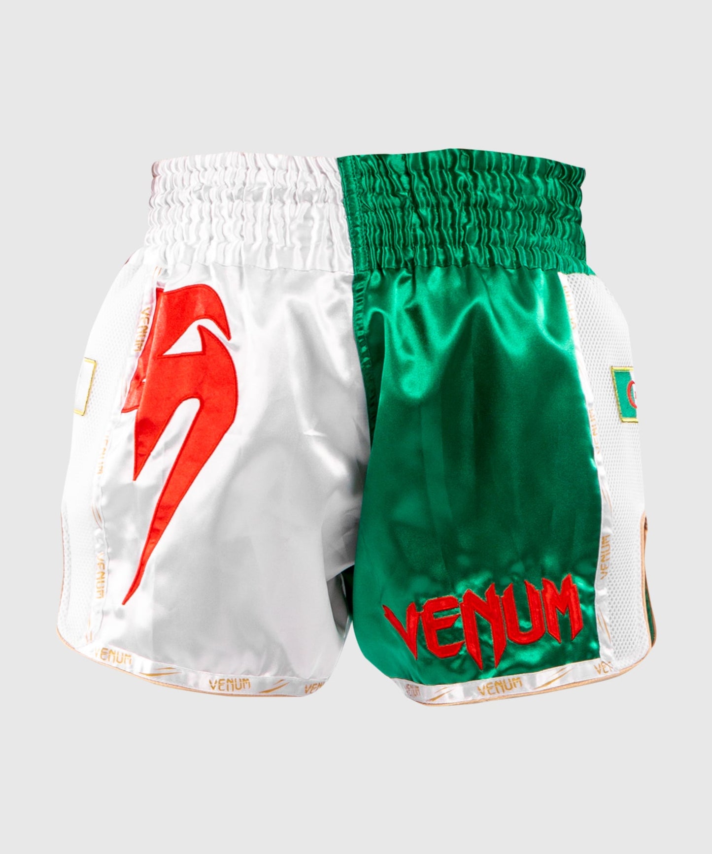 Venum MT Flags Muay Thai shorts - Algeria