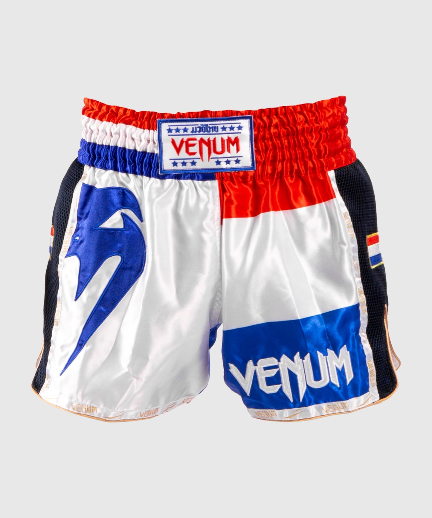 Venum MT Flags Muay Thai shorts - Netherlands