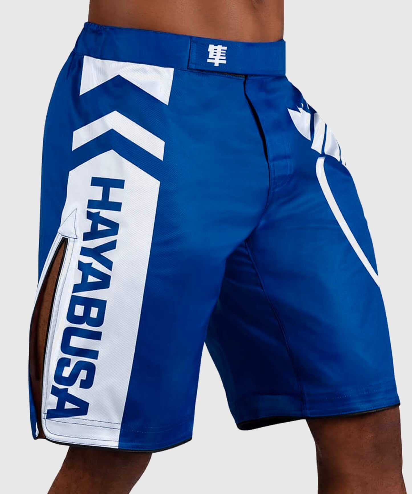 Hayabusa Icon Fightshorts - Azul