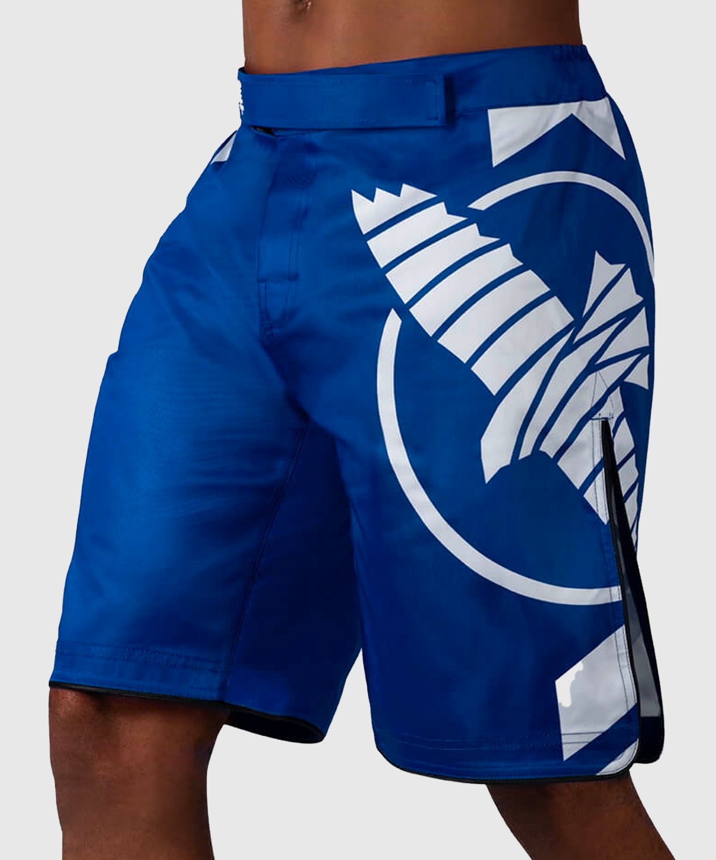 Hayabusa Icon Fightshorts - Azul