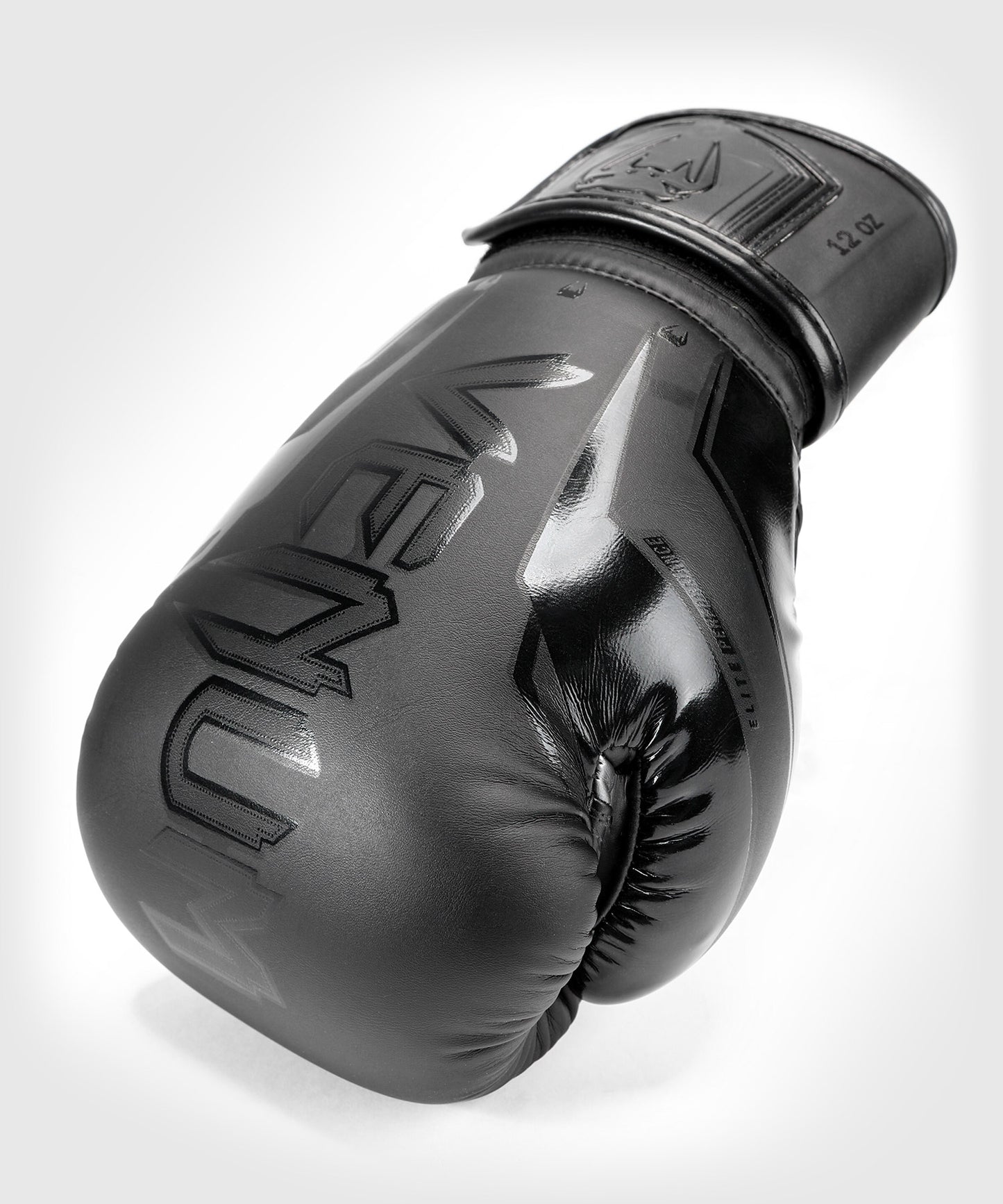 Gants de Boxe Venum Elite Evo - Noir/Noir